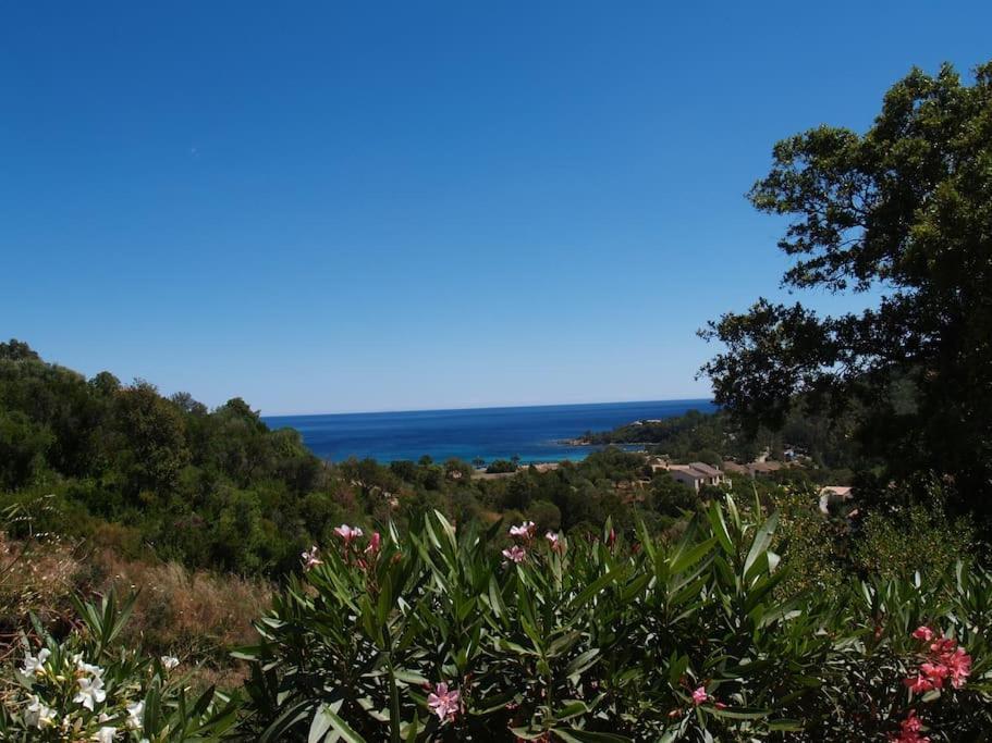 Villa Vista Mare 11 Favone Conca Luaran gambar